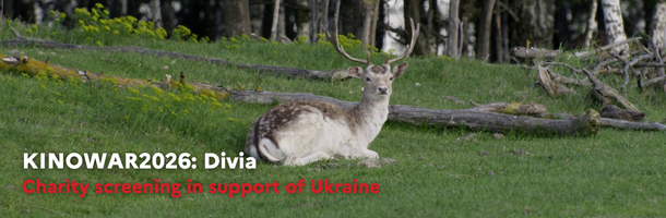 KINOWAR2026: Divia