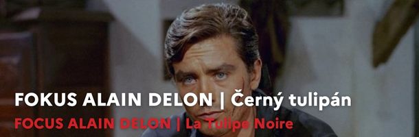 FOKUS ALAIN DELON | Černý tulipán